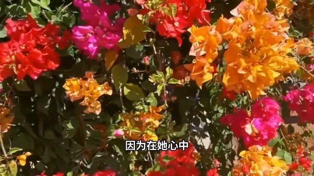 “民间鬼故事灵异事件858 / 作者:wb47 / 帖子ID:129008