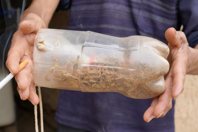 地球上进化最成功的物种，竟然是蝎子？那为啥它们没成地球霸主？654 / 作者:毒茹医人俚 / 帖子ID:129013