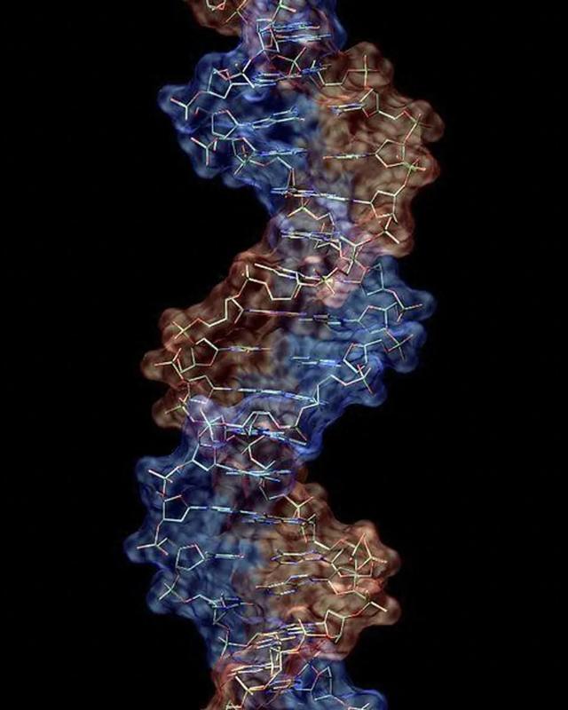 10个你难以理解的科学事实，看完后奇怪的知识又增加了214 / 作者:烟织成愁撼 / 帖子ID:129030