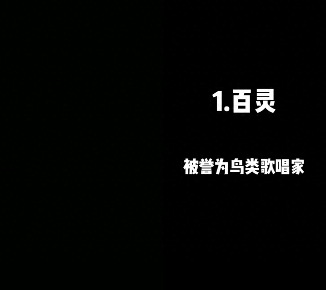 世界上十大名鸟排名，看看你家的鸟排第几？503 / 作者:珍惜637 / 帖子ID:129099