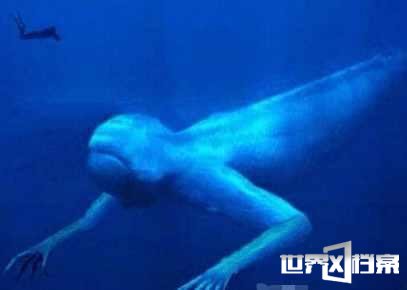海底现神秘物种 身高达30米在海底直立行走252 / 作者:UFO爱好者 / 帖子ID:69281