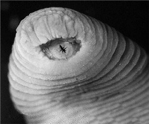 神秘恐怖生物暴君水蛭736 / 作者:UFO爱好者 / 帖子ID:85324