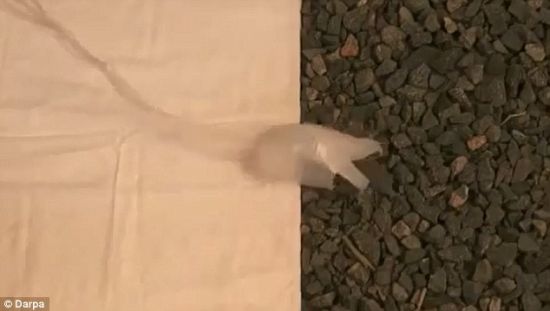 美研制伪装隐身机器人：30秒内神奇变色隐身434 / 作者:UFO爱好者 / 帖子ID:80541