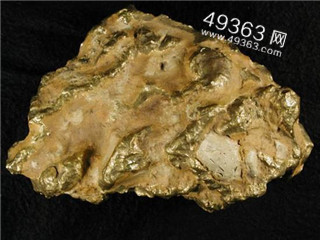 狗头金的故事：澳探矿者意外淘到5.5公斤罕见狗头金282 / 作者:UFO爱好者 / 帖子ID:87895
