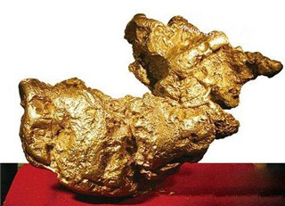 狗头金的故事：澳探矿者意外淘到5.5公斤罕见狗头金730 / 作者:UFO爱好者 / 帖子ID:87895