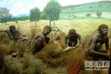 人类进化之谜：为什么人类用两条腿走路？319 / 作者:UFO爱好者 / 帖子ID:83015