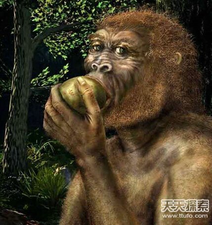 人类进化之谜：为什么人类用两条腿走路？179 / 作者:UFO爱好者 / 帖子ID:83015