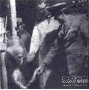 UFO基地大曝光：喜马拉雅山脉竟藏飞碟基地351 / 作者:UFO爱好者 / 帖子ID:79261