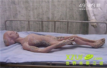 美国第51区真相 真的有外星人吗875 / 作者:UFO爱好者 / 帖子ID:78848