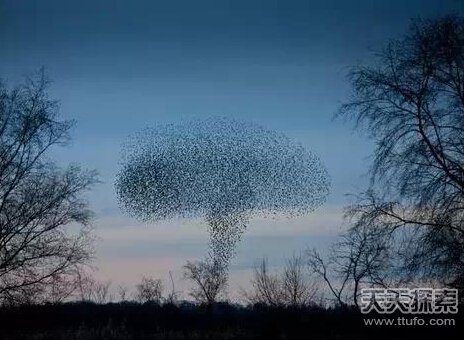大自然罕见奇观660 / 作者:UFO爱好者 / 帖子ID:84257