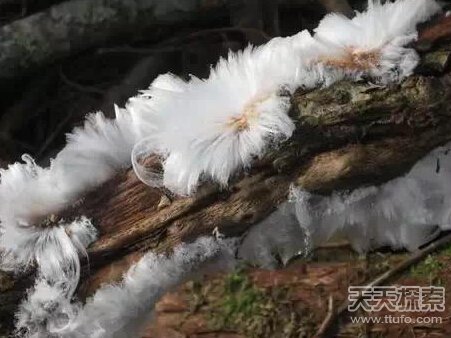 大自然罕见奇观794 / 作者:UFO爱好者 / 帖子ID:84257