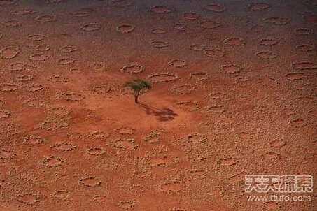 大自然罕见奇观49 / 作者:UFO爱好者 / 帖子ID:84257