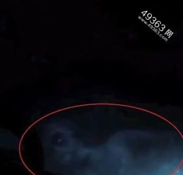 水猴子水鬼图片 传说中的水鬼969 / 作者:UFO爱好者 / 帖子ID:67000