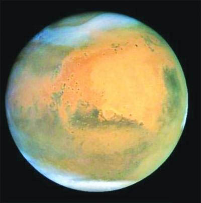 12大谜题难倒科学界 巨病毒可能会改写生命的怪物806 / 作者:UFO爱好者 / 帖子ID:84766