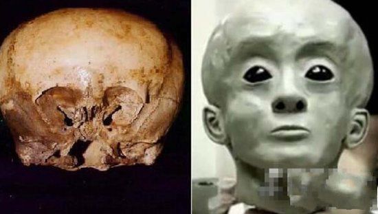 奇异头骨：外星人曾与人类交配铁证789 / 作者:UFO爱好者 / 帖子ID:82694