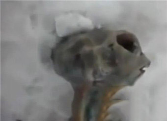 各地频现外星人尸体  盘点遗留在地球的外星人的尸体104 / 作者:UFO爱好者 / 帖子ID:79653