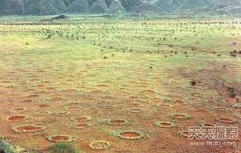 动物界十大未解之谜：沙漠精灵圈 红色海水661 / 作者:UFO爱好者 / 帖子ID:71263