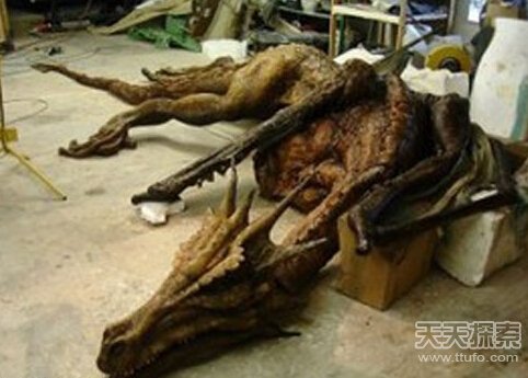 动物界十大未解之谜：沙漠精灵圈 红色海水103 / 作者:UFO爱好者 / 帖子ID:71263