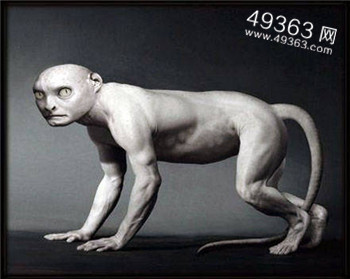 人是怎么来的：鱼的进化？太空人的试验品？661 / 作者:UFO爱好者 / 帖子ID:82935