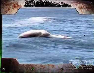 百年难解之谜：全世界人种都来大西种族37 / 作者:UFO爱好者 / 帖子ID:82781
