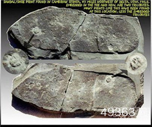 未解之谜与震惊事件  件件骇人听闻 匪夷所思134 / 作者:UFO爱好者 / 帖子ID:83611