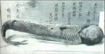 美人鱼化石  美人鱼化石图片752 / 作者:UFO爱好者 / 帖子ID:88392