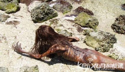 美人鱼化石  美人鱼化石图片688 / 作者:UFO爱好者 / 帖子ID:88392