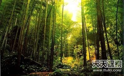 中国最诡异秘境 昆仑死亡谷 香米田673 / 作者:UFO爱好者 / 帖子ID:87217