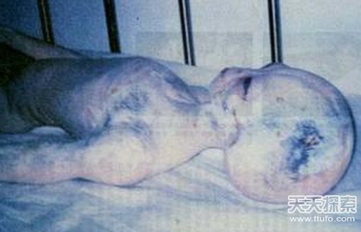 著名外星人事件竟是谎言：外星人宰杀家畜  被外星人绑架784 / 作者:UFO爱好者 / 帖子ID:78336
