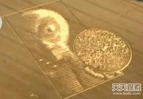 著名外星人事件竟是谎言：外星人宰杀家畜  被外星人绑架231 / 作者:UFO爱好者 / 帖子ID:78336