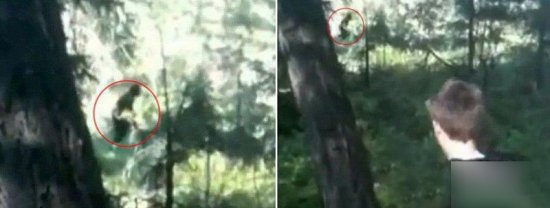 令人瞠目结舌的怪事：比百慕大恐怖的龙三角海域192 / 作者:UFO爱好者 / 帖子ID:87966
