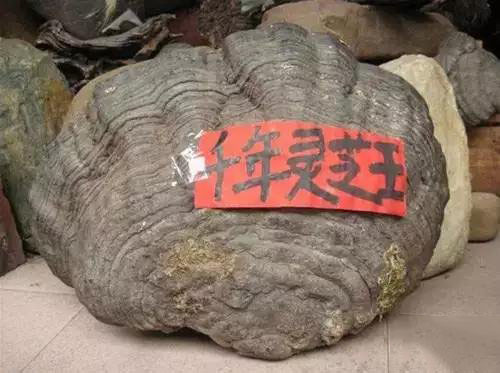 传说中的武侠“神药”993 / 作者:UFO爱好者 / 帖子ID:87759