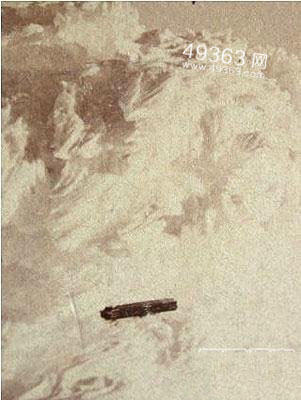 解密曝光真实的外星人图片ufo图片581 / 作者:UFO爱好者 / 帖子ID:79180