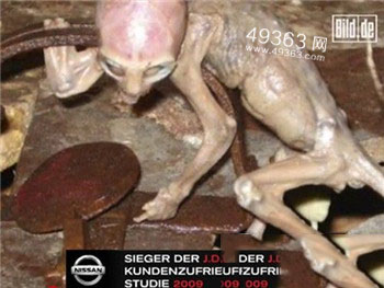 解密曝光真实的外星人图片ufo图片811 / 作者:UFO爱好者 / 帖子ID:79180