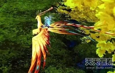 历史上那些至今无人能解的惊天谜团515 / 作者:UFO爱好者 / 帖子ID:83610