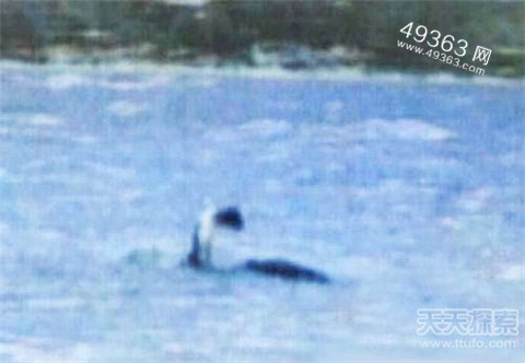 全球十大神秘怪兽迷踪盘点912 / 作者:UFO爱好者 / 帖子ID:88283