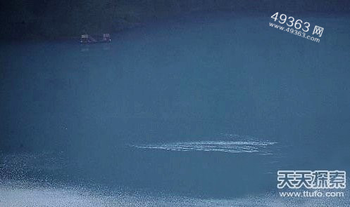 全球十大神秘怪兽迷踪盘点543 / 作者:UFO爱好者 / 帖子ID:88283