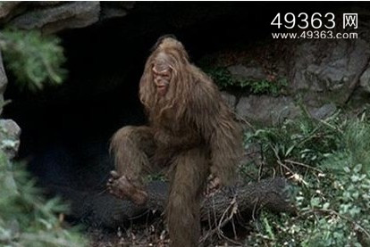 各地大脚怪传说 大脚怪或是人类与灵长类动物杂交而成477 / 作者:UFO爱好者 / 帖子ID:88337