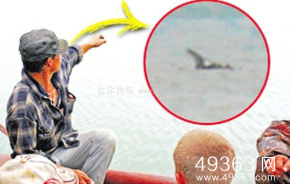 水怪事件盘点 揭秘史上著名的水怪事件509 / 作者:UFO爱好者 / 帖子ID:88512