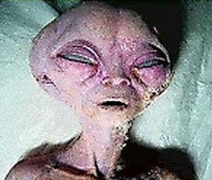 太空婴儿之谜盘点 女宇航员集体怀孕诞下太空婴儿290 / 作者:UFO爱好者 / 帖子ID:83612 太空婴儿之谜盘点 女宇航员集体怀孕诞下太空婴儿290 / 作者:UFO爱好者 / 帖子ID:83612
