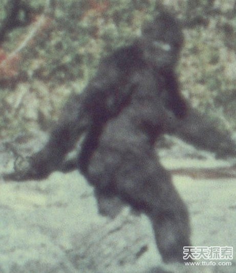 科学无解谜团：人类神秘第六感909 / 作者:UFO爱好者 / 帖子ID:82167