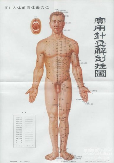 十大考古谜团 4200年前的彩色电视机 20亿年前的原子反应堆976 / 作者:UFO爱好者 / 帖子ID:82472