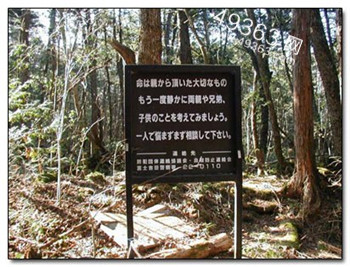 探索欧沃顿桥之谜 盘点世界惊悚之地865 / 作者:UFO爱好者 / 帖子ID:83247
