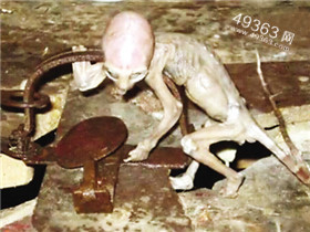 “幽灵船队”真相被揭开 揭秘全球22大神秘事件332 / 作者:UFO爱好者 / 帖子ID:83475