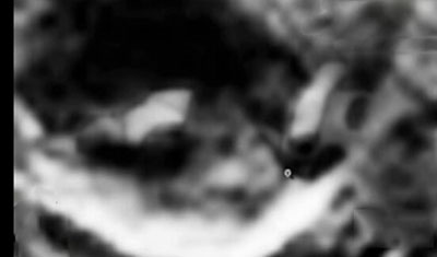 谷神星上发现神秘金属 或与外星人有关451 / 作者:UFO爱好者 / 帖子ID:75605