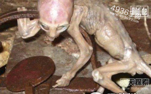 外星人事件盘点：外星人来访？928 / 作者:UFO爱好者 / 帖子ID:88284