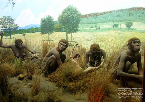 史前壁画揭人类大秘密 秘鲁纳斯卡巨图——如何绘制而成567 / 作者:UFO爱好者 / 帖子ID:84765