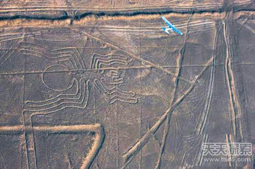 史前壁画揭人类大秘密 秘鲁纳斯卡巨图——如何绘制而成849 / 作者:UFO爱好者 / 帖子ID:84765