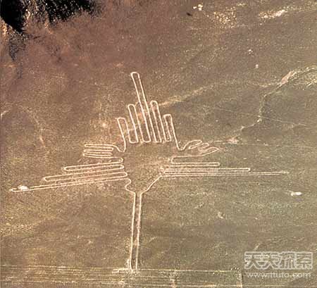 史前壁画揭人类大秘密 秘鲁纳斯卡巨图——如何绘制而成985 / 作者:UFO爱好者 / 帖子ID:84765