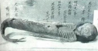 北冰洋美人鱼照片曝光 揭秘那些来历不明的神秘生物385 / 作者:UFO爱好者 / 帖子ID:88215